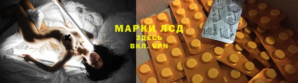 гидра Магас