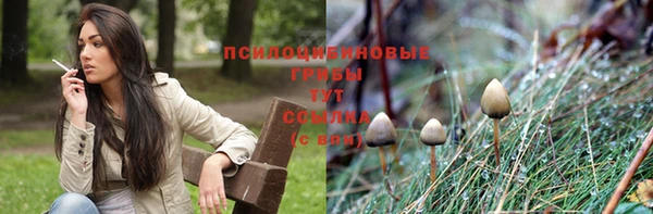 гидра Магас