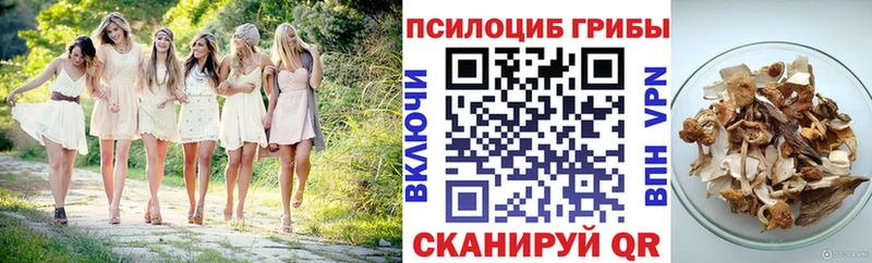 магазин продажи наркотиков  Реутов  Галлюциногенные грибы GOLDEN TEACHER 
